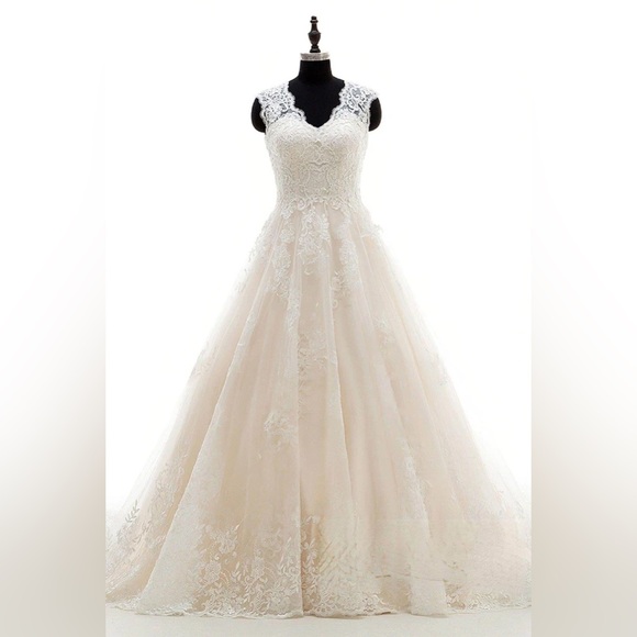 Cocomelody A-Line Court Train Tulle And Lace Wedding Dress LWXT16001 Size 28 - Picture 1 of 12